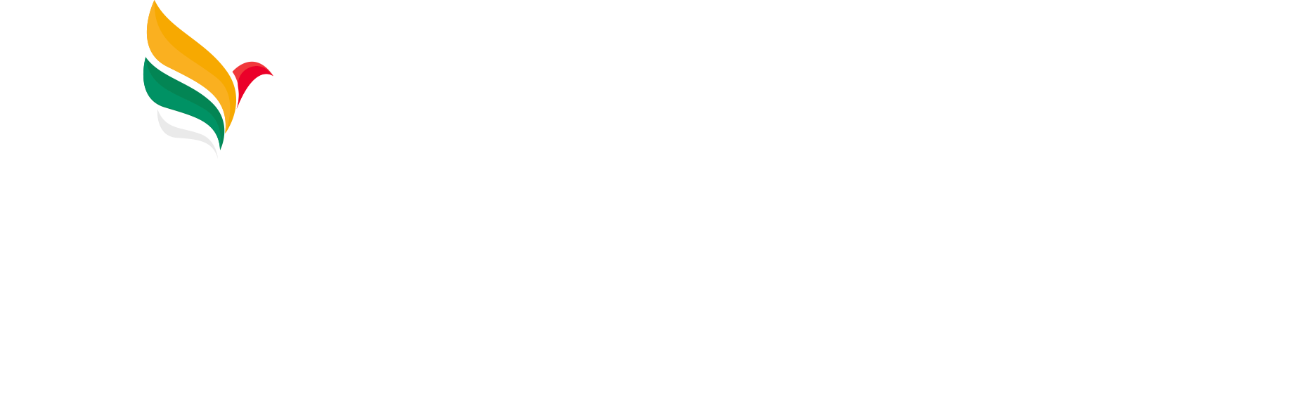 Nuspay Logo